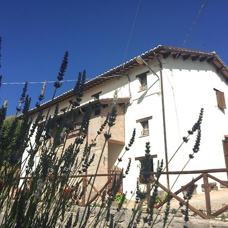 Agriturismo Le Castellare Монтемонако Екстер'єр фото