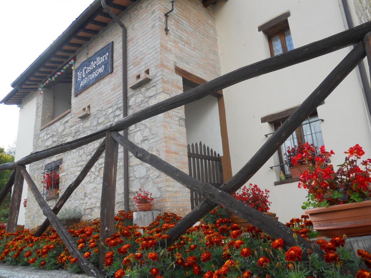 Agriturismo Le Castellare Монтемонако Екстер'єр фото
