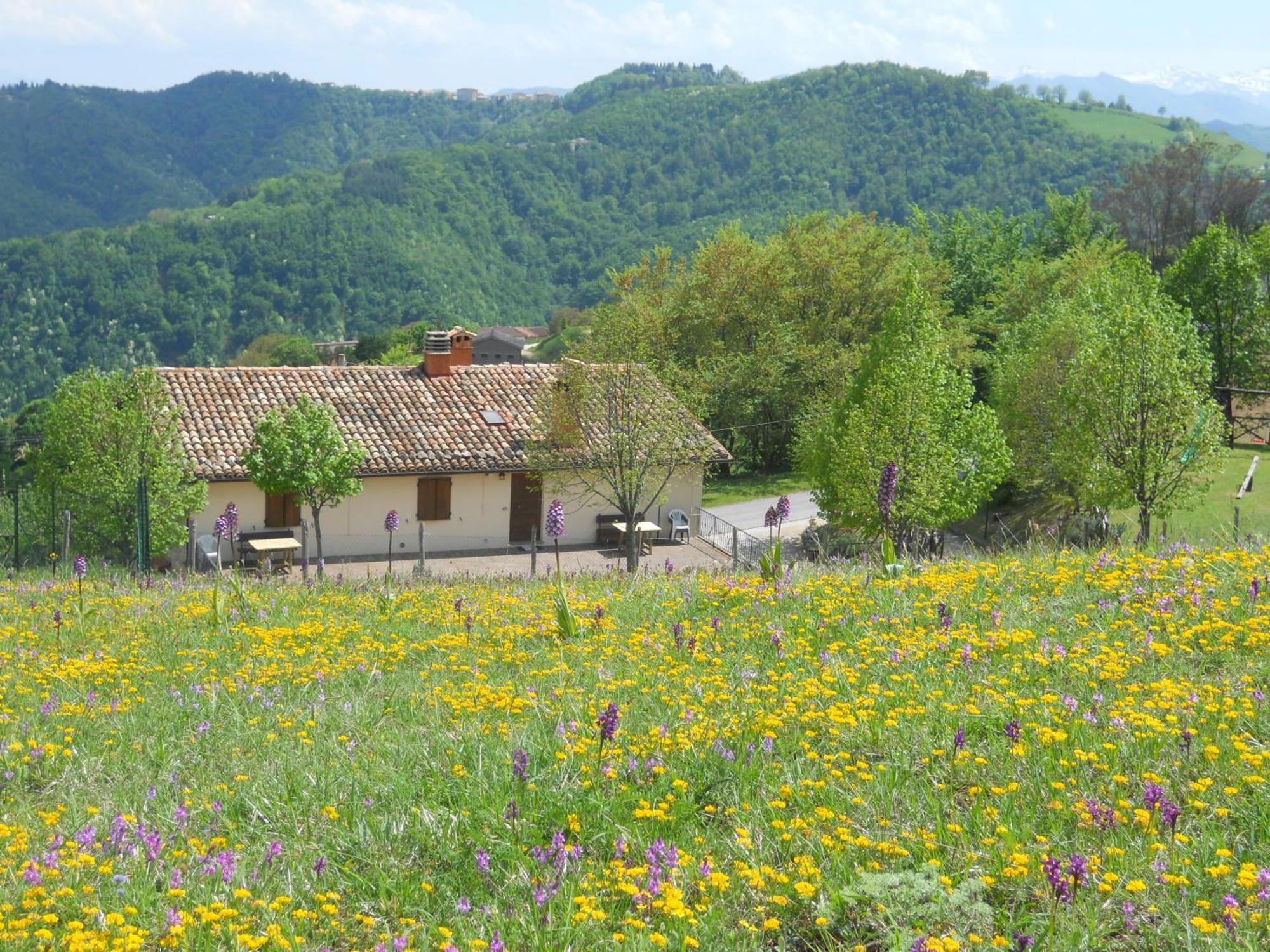 Agriturismo Le Castellare Монтемонако Екстер'єр фото