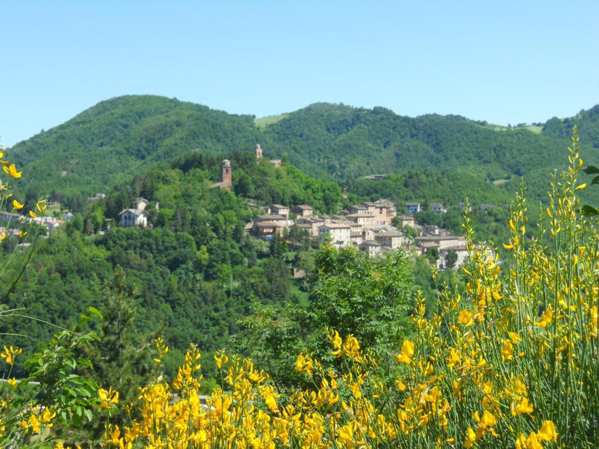 Agriturismo Le Castellare Монтемонако Екстер'єр фото