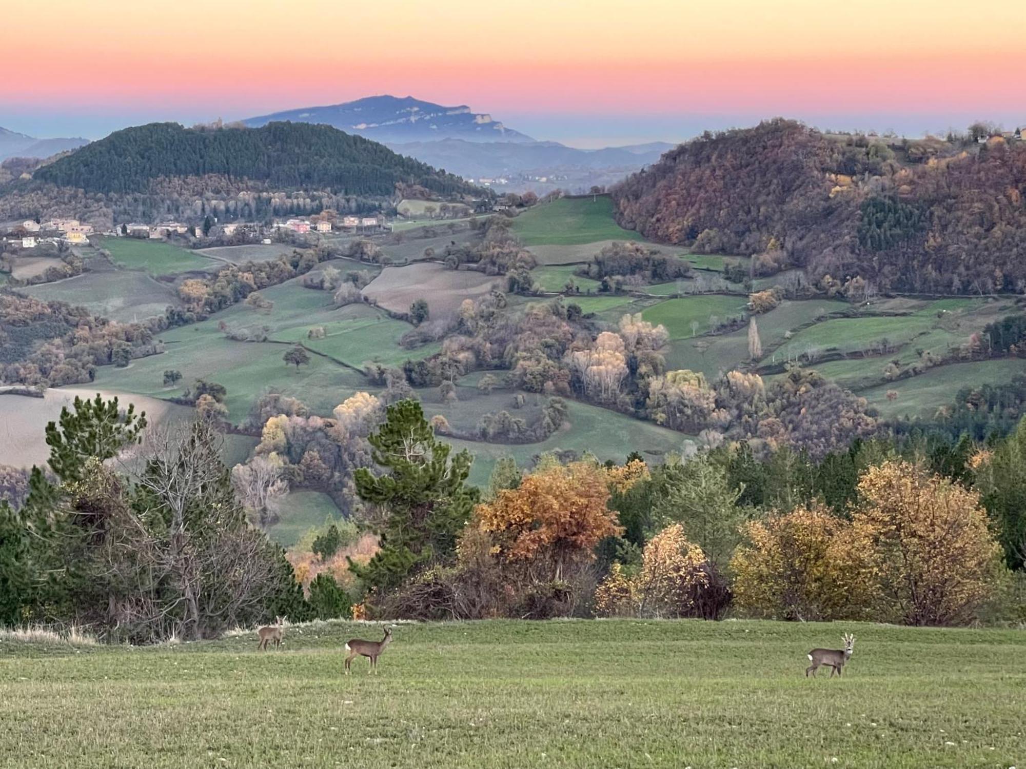 Agriturismo Le Castellare Монтемонако Екстер'єр фото