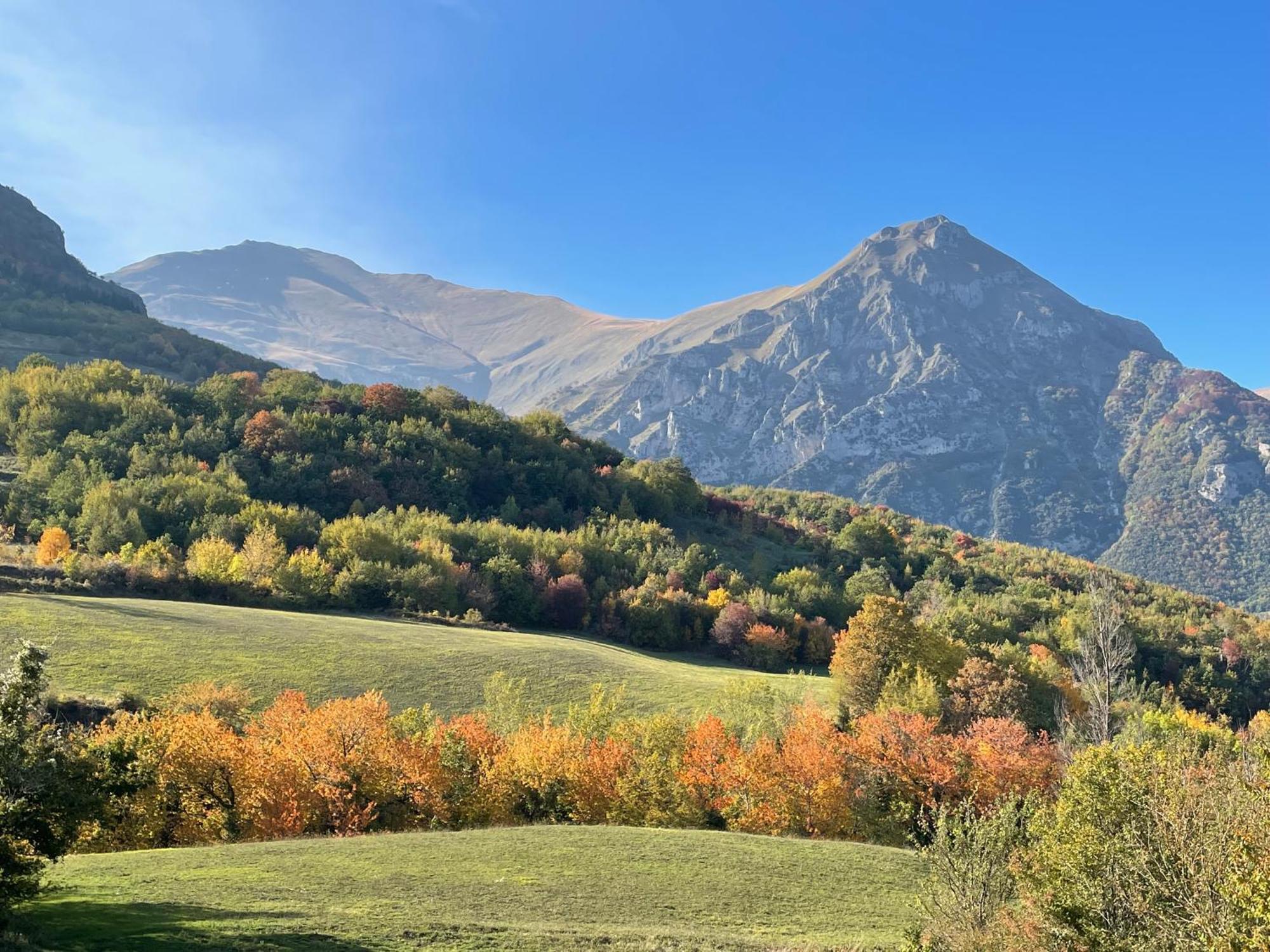 Agriturismo Le Castellare Монтемонако Екстер'єр фото