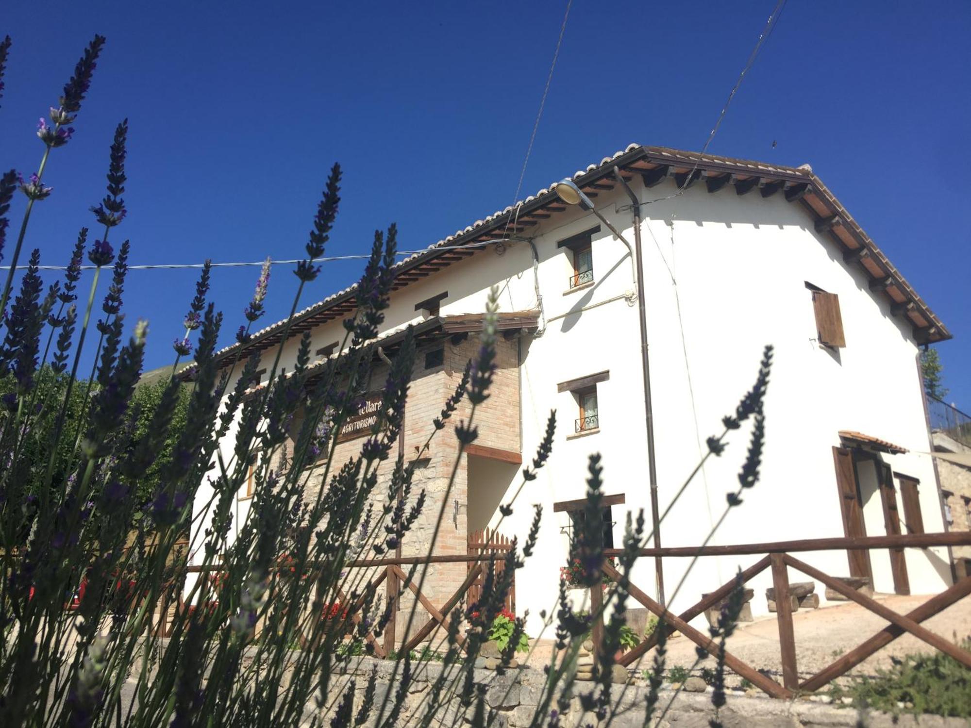 Agriturismo Le Castellare Монтемонако Екстер'єр фото